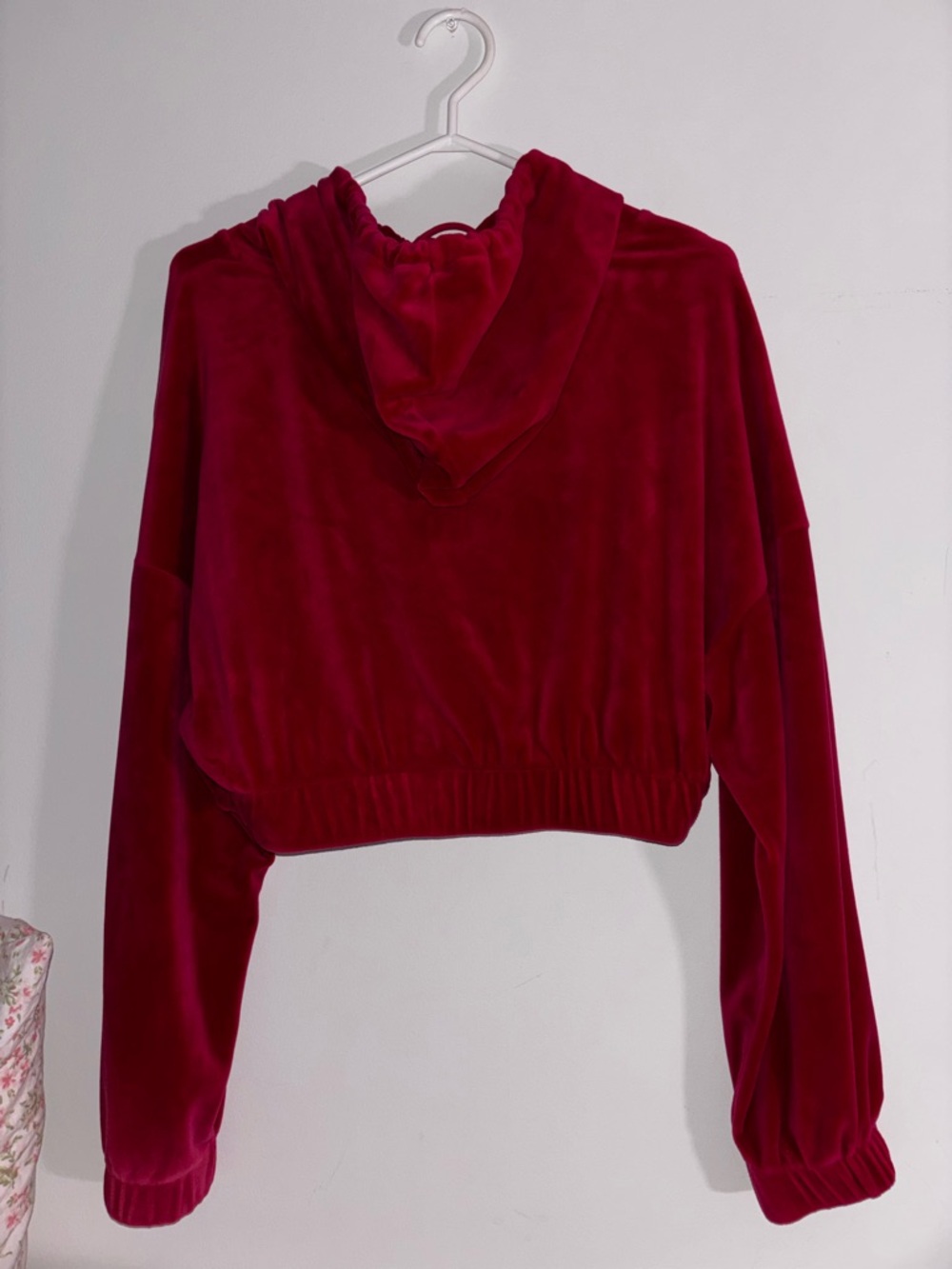 eye candy Velvet Cropped Hoodie in Hot Pink